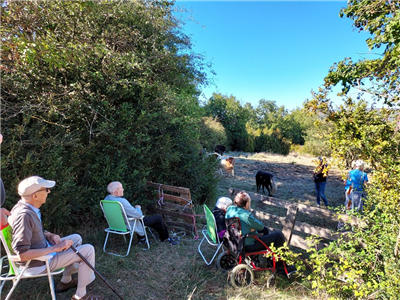 Les sorties de la Résidence des deux vallées en Aveyron