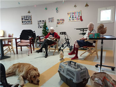 Des moments de détente au sein de la Résidence des deux vallées en Aveyron